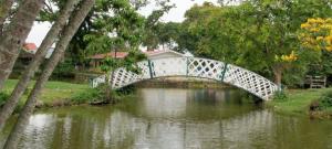 TK (GT) April - May 2010 164 - Copy